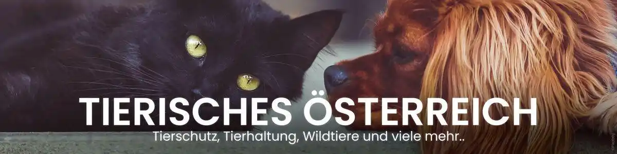 MeinBezirk post