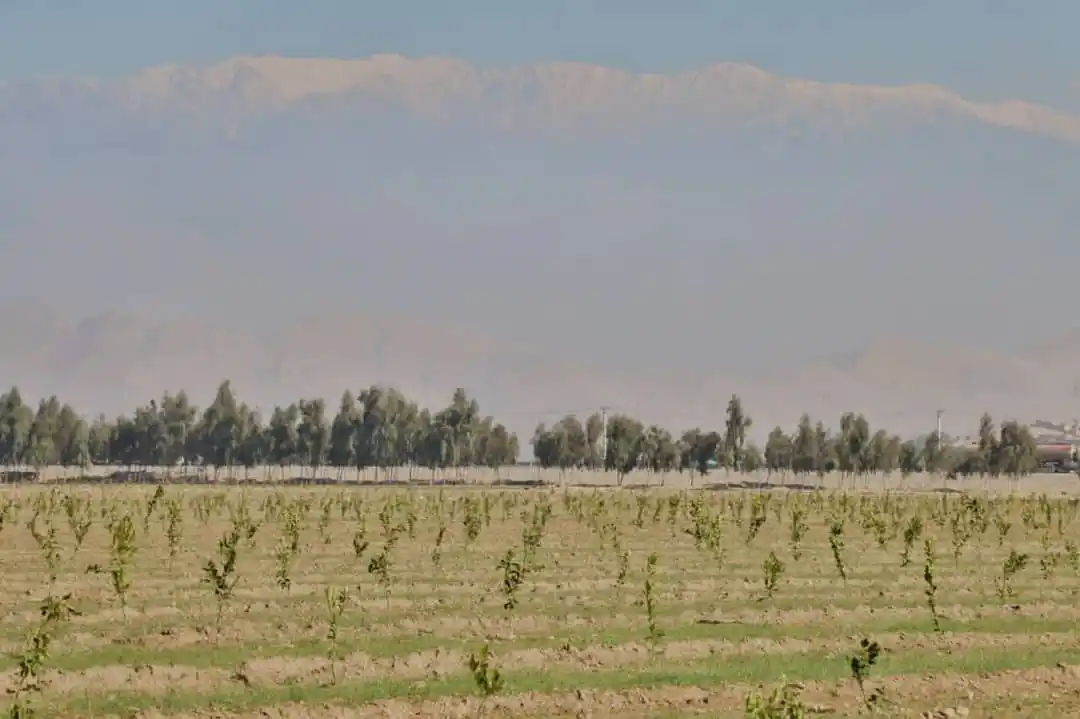 ننګرهار رسنيو دفتر | NMIC post