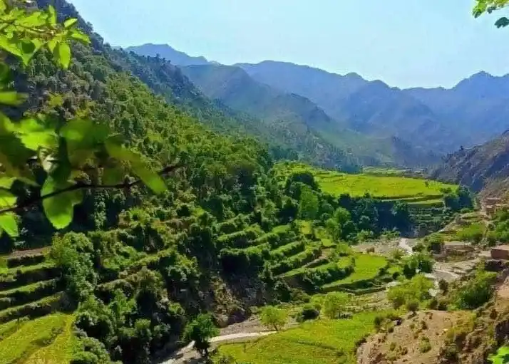 ننګرهار رسنيو دفتر | NMIC post