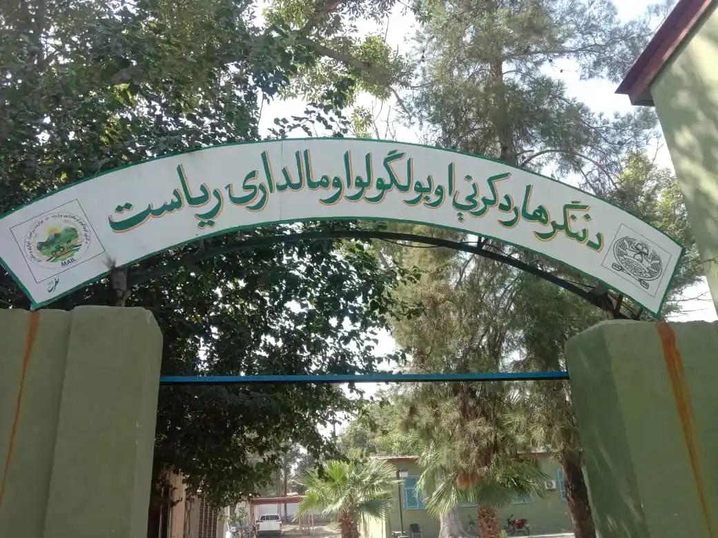 ننګرهار رسنيو دفتر | NMIC post