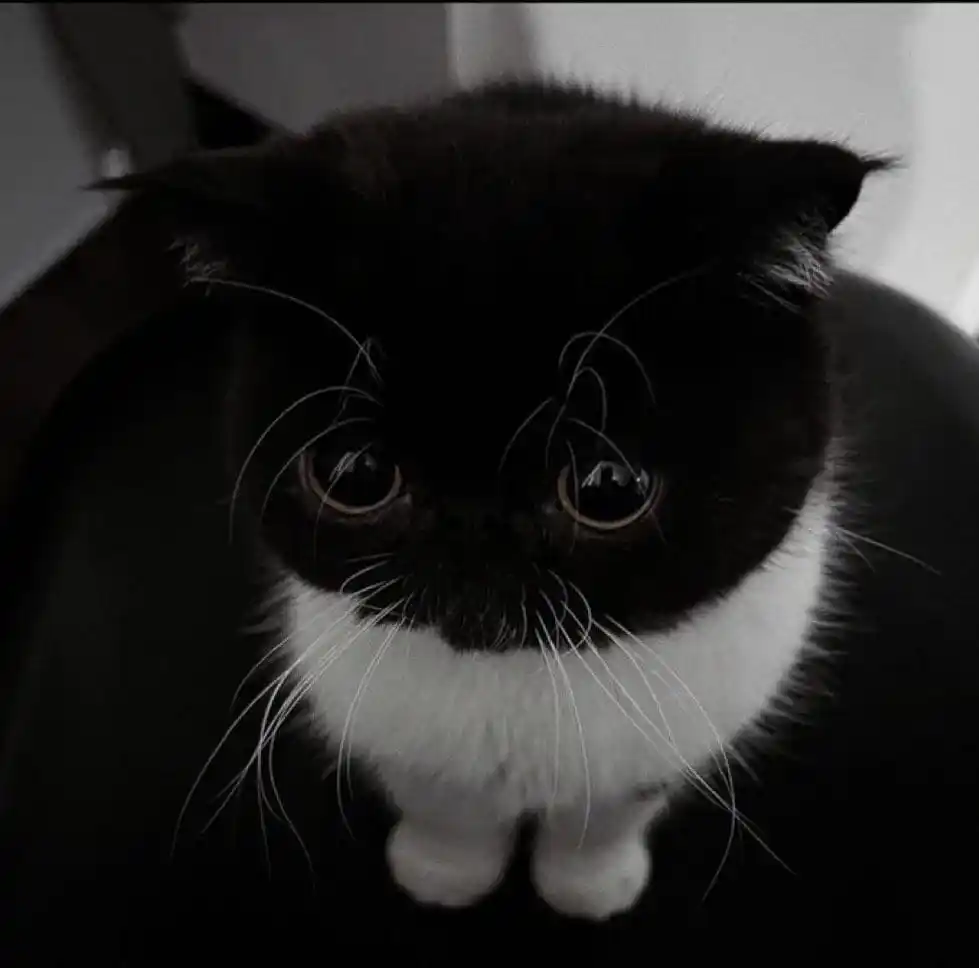 Noelle's Channel 💗 post