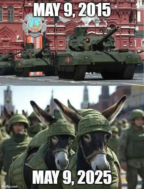 OSINT Бджоли post