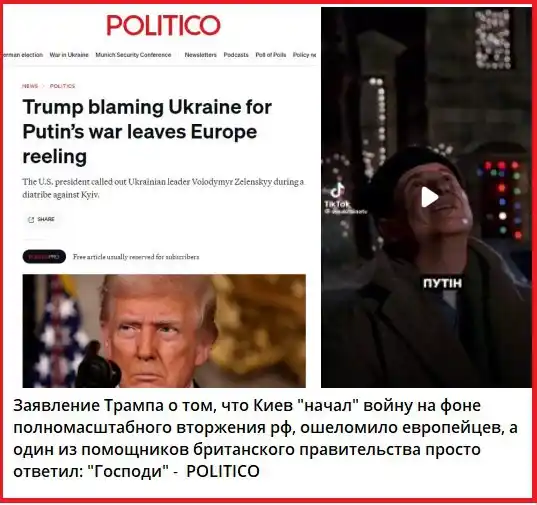 OSINT Бджоли post