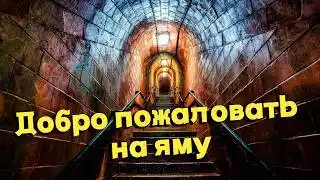 OSINT Бджоли post