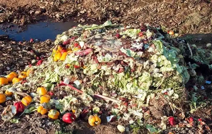 پایگاه خبری علوم و صنایع غذایی ایران post