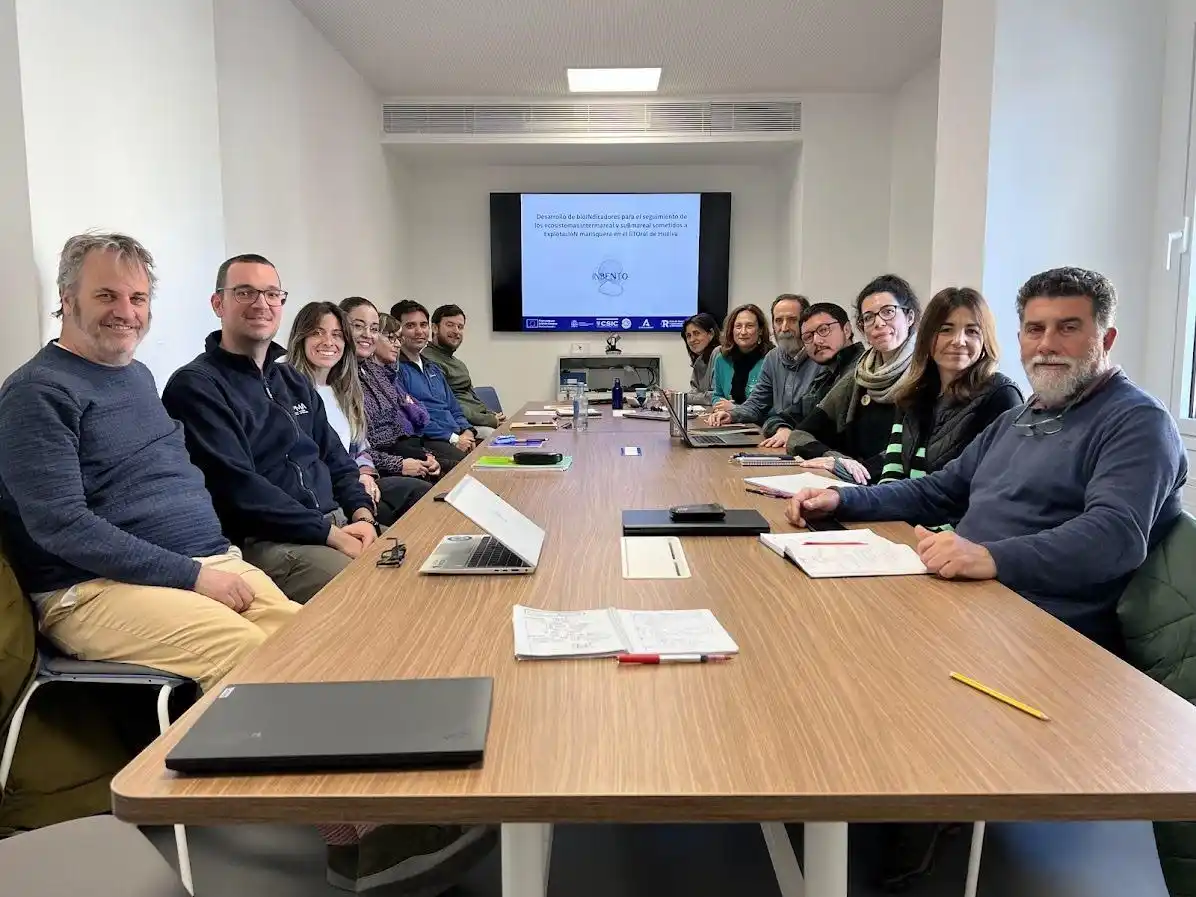 Sal Televisión post