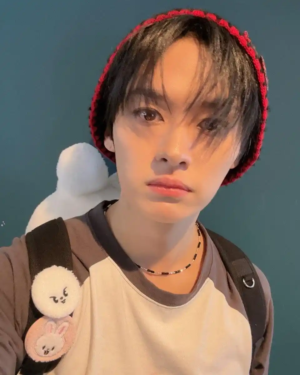 StrayKids Latam Project INFO post