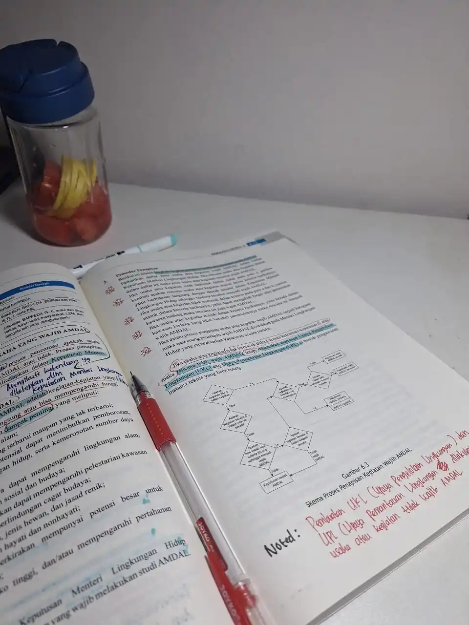 Study With Jannah✨🧚‍♀️ post