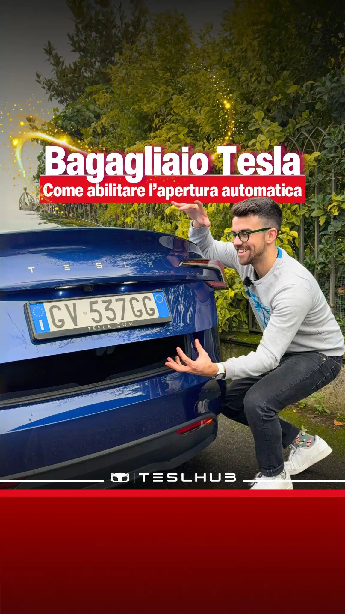 Teslhub post