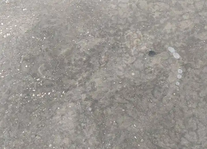 Image from طقس حمص | Homs Weather: تشكل الجليد مجددًا في حمص لليوم الثاني على التوالي ❄️ استيقظت مدينة ح...