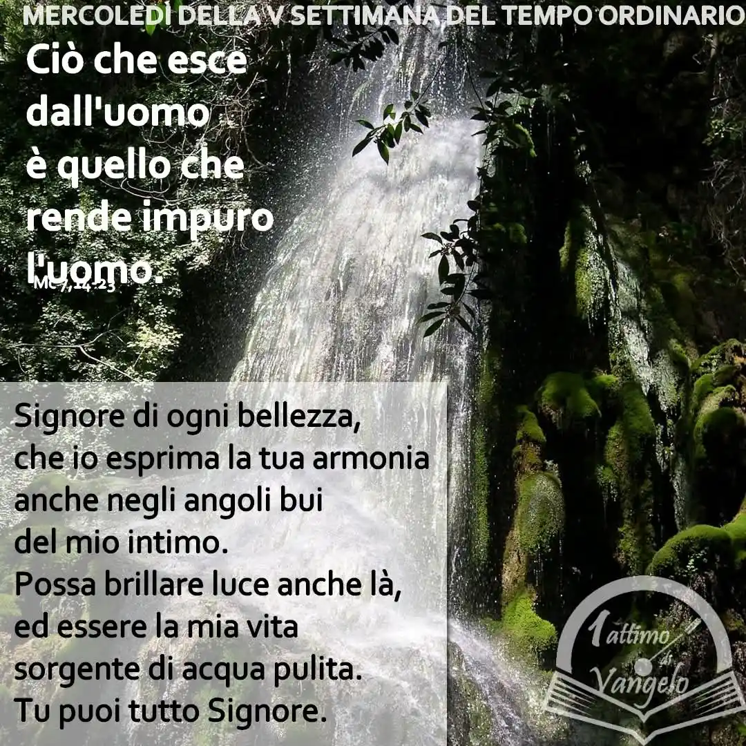 Un attimo di Vangelo post