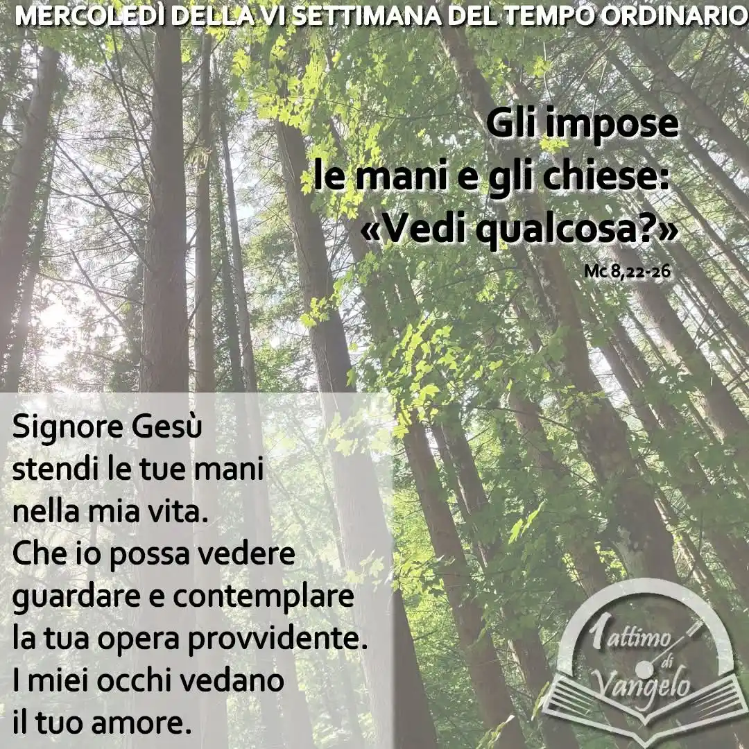 Image from Un attimo di Vangelo: <a class="text-blue-500 hover:underline cursor-pointer" href="/hashtag...